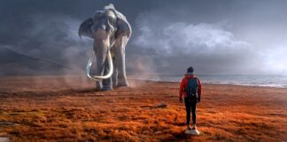Czy mamutem można kleić styropian?