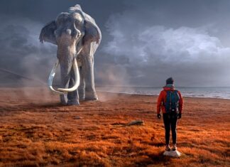 Czy mamutem można kleić styropian?