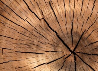 Ile kosztuje metr sześcienny drewna na opał?